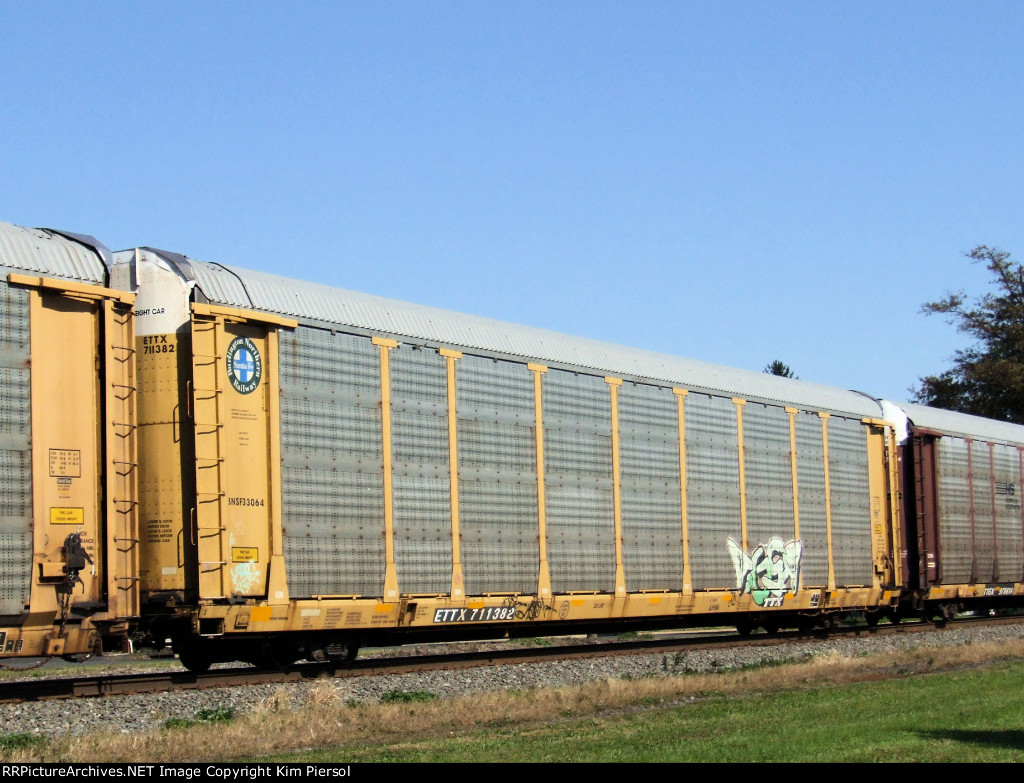 ETTX 711382 "BNSF" on NS 290