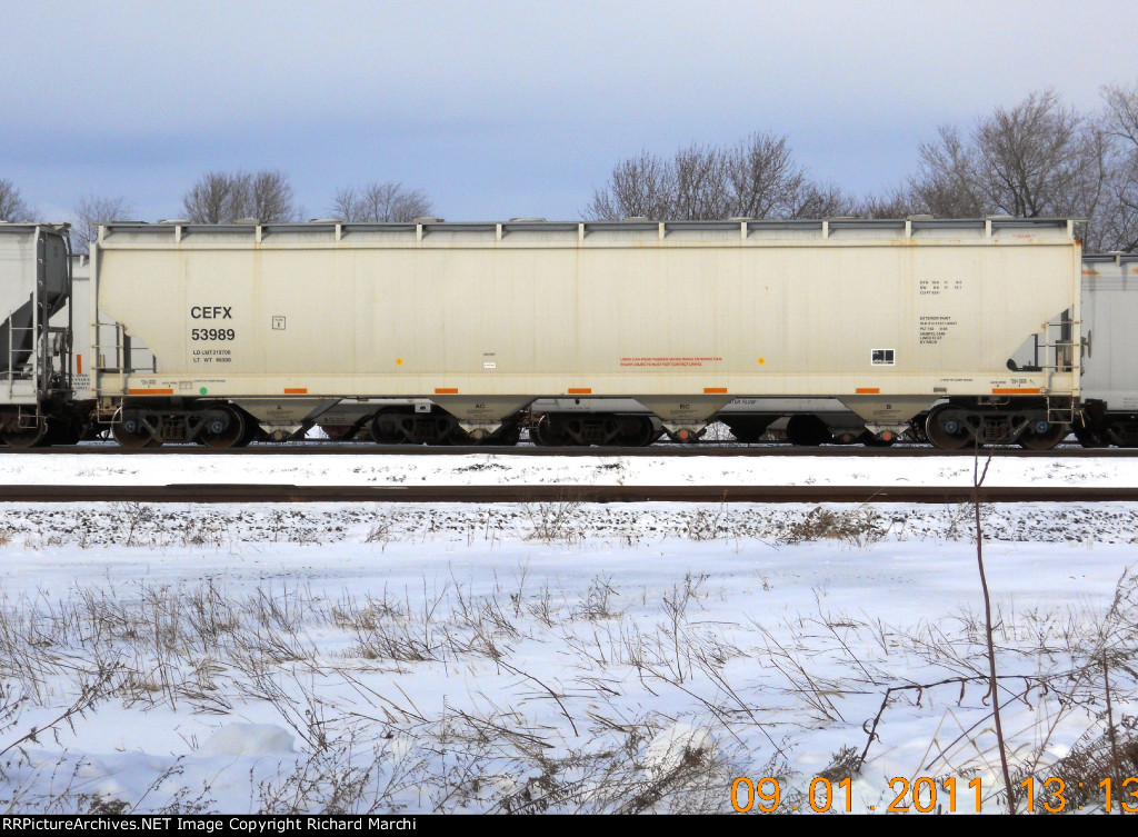 CEFX 53989