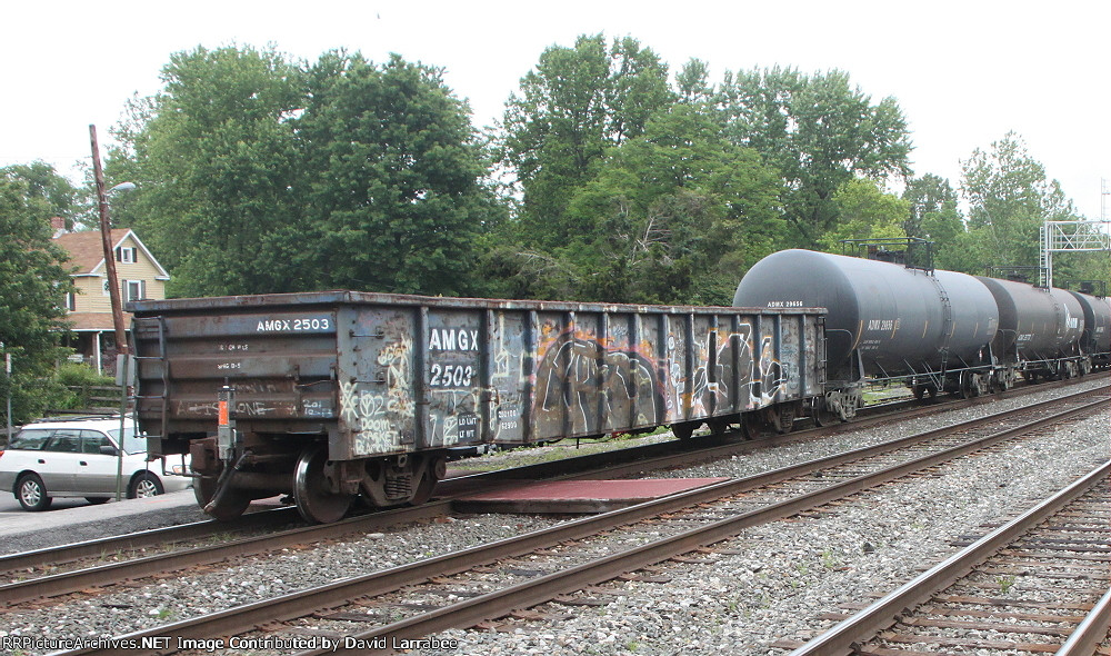 AMGX 2503
