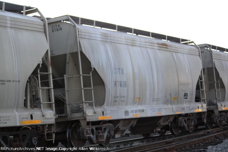 CITX 87616