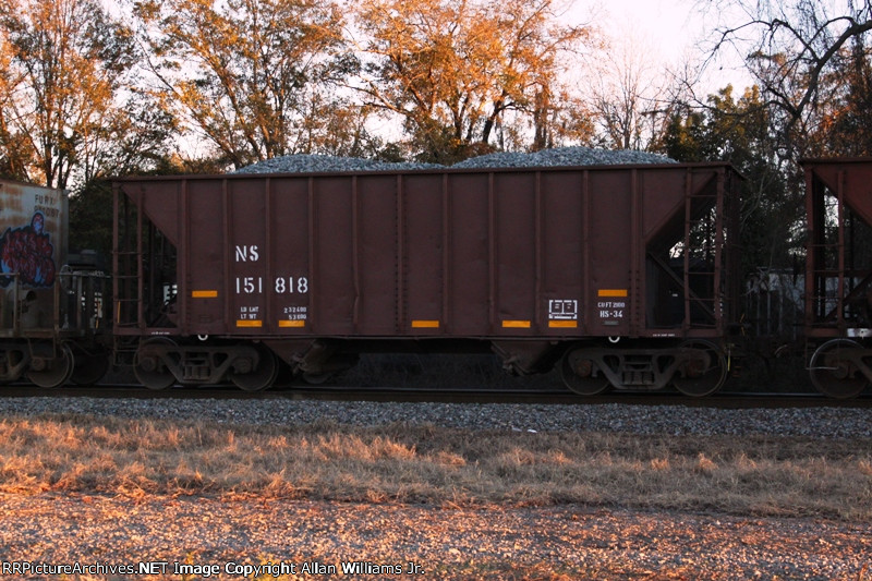 NS 151818