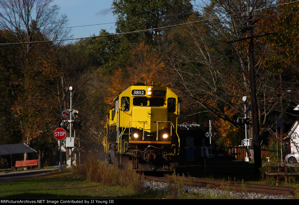 Fall colors and Yellow Jackets 