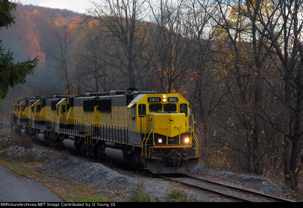 Thunderous roar from the crowd
