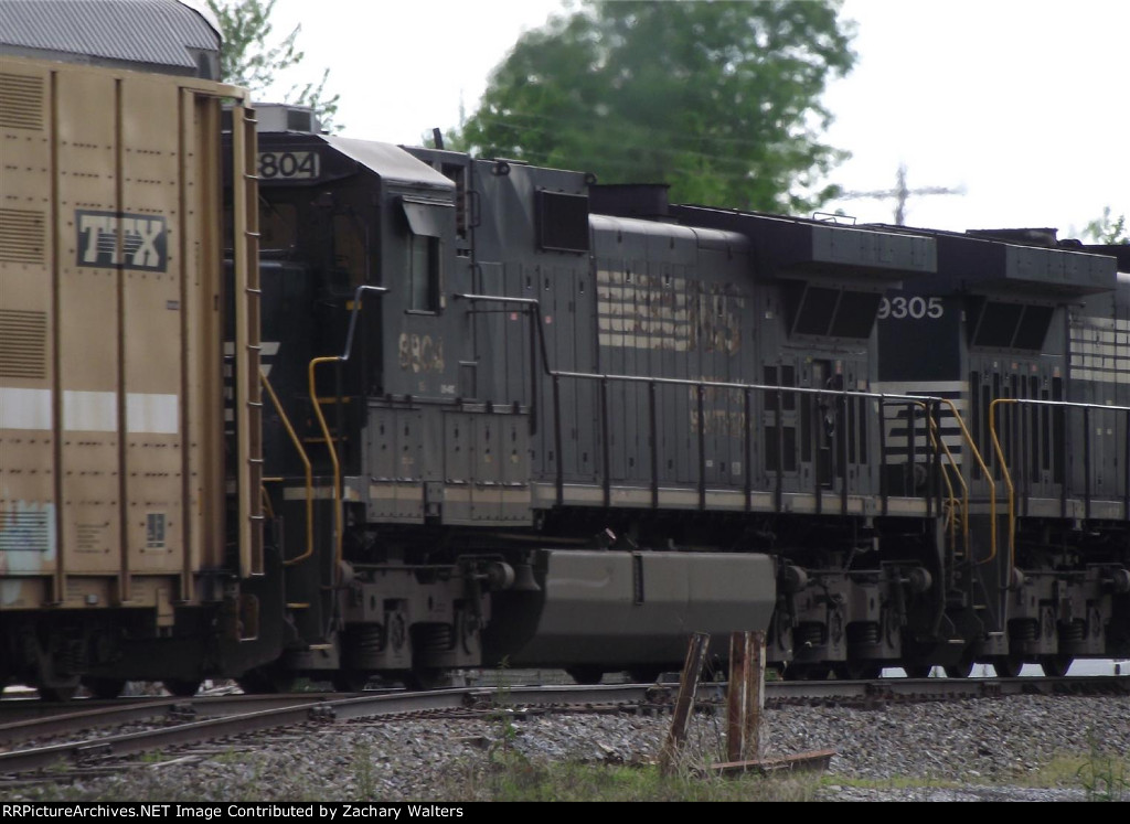 NS 8804