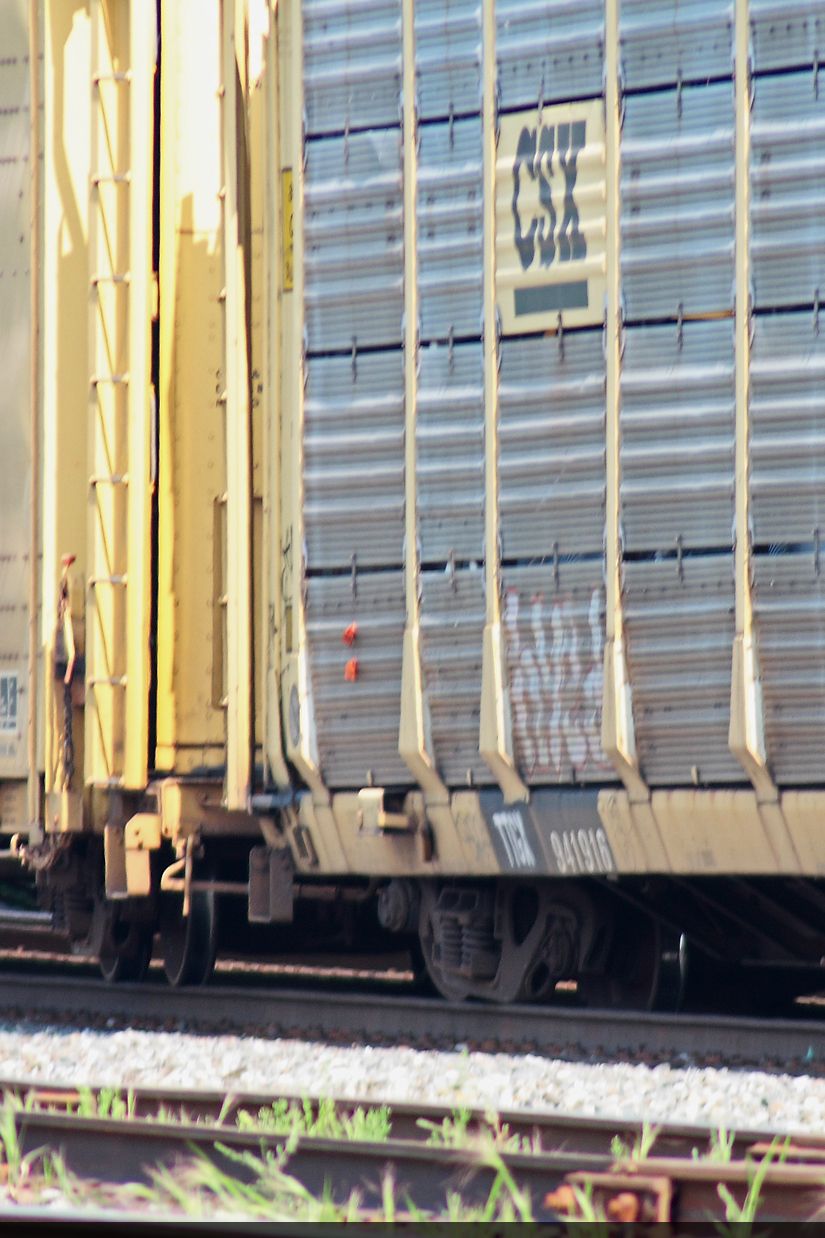 TTGX 941916