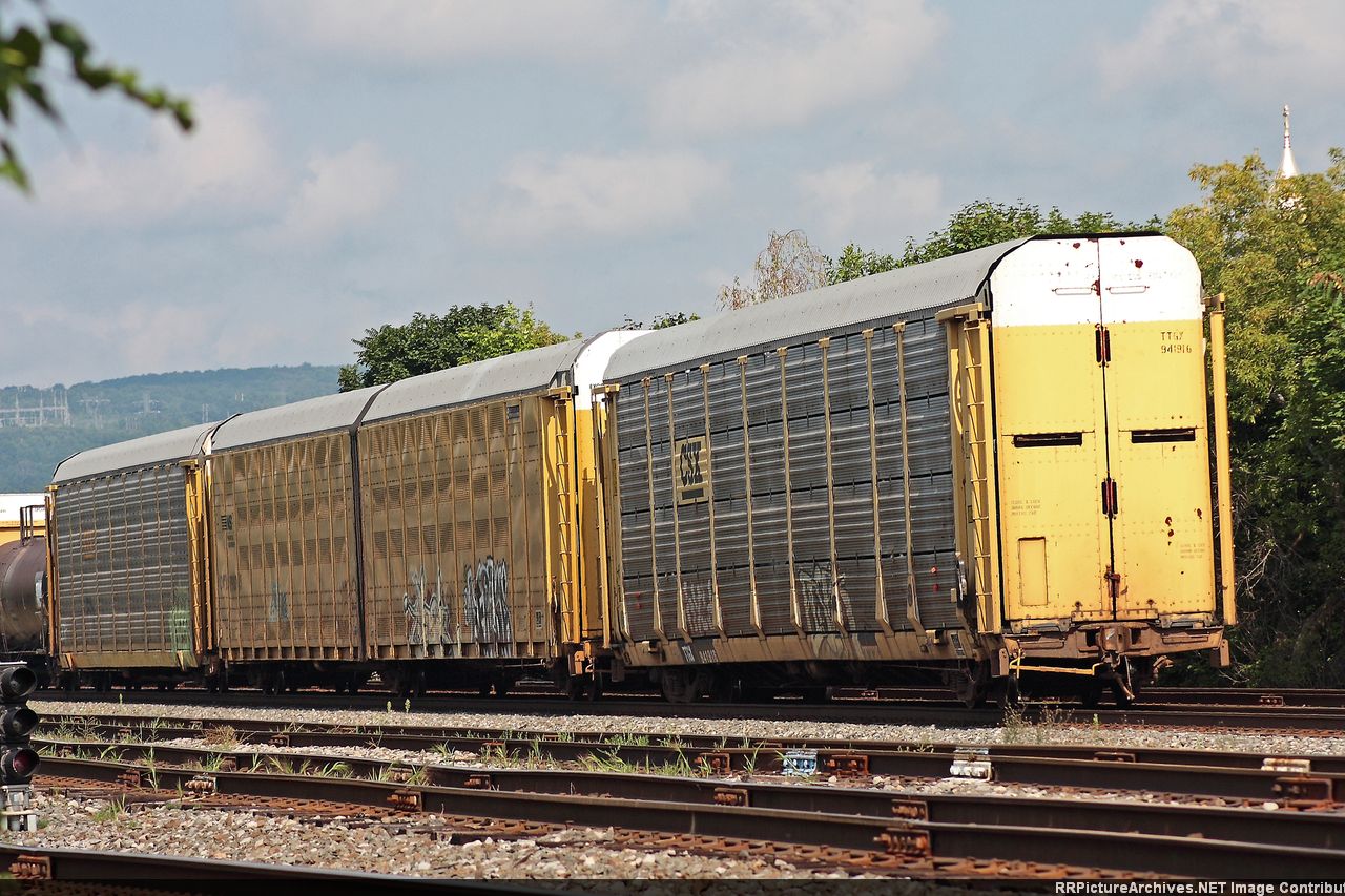 TTGX 941916