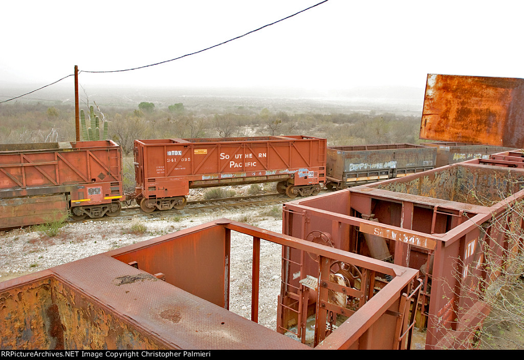 OTDX 341095 (ex SP 341095)