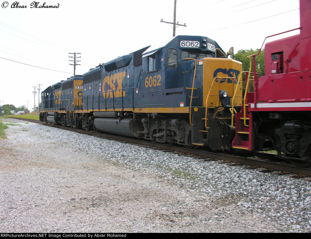 csx K562~18