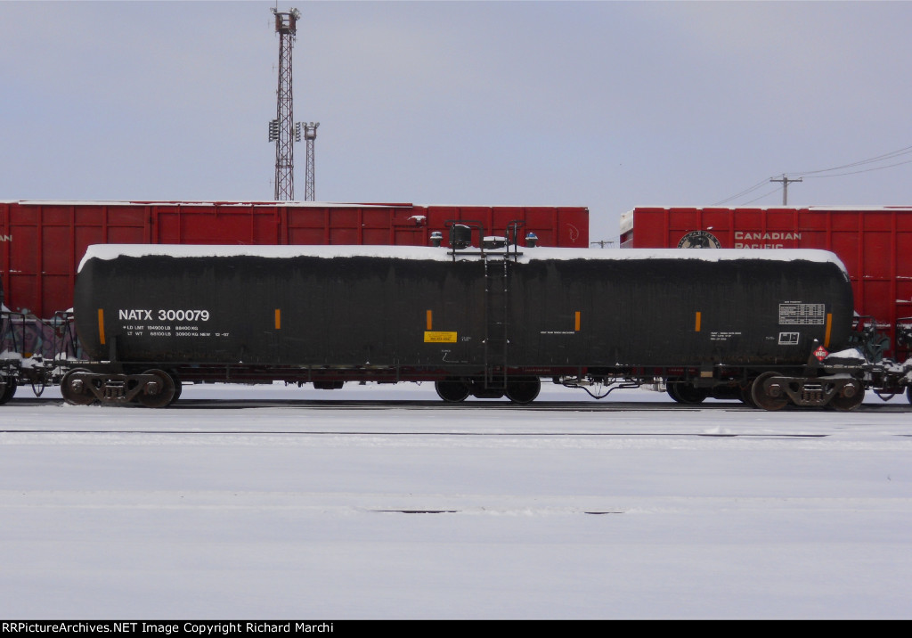 NATX 300079