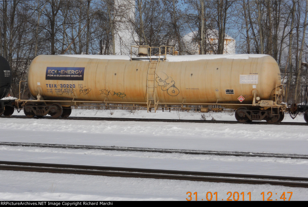 TEIX 30220