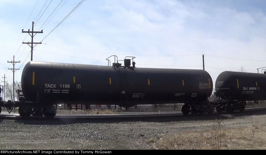 TAEX 1198