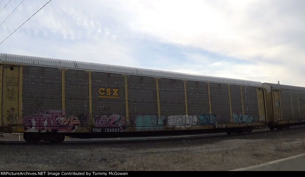 TTGX 158503