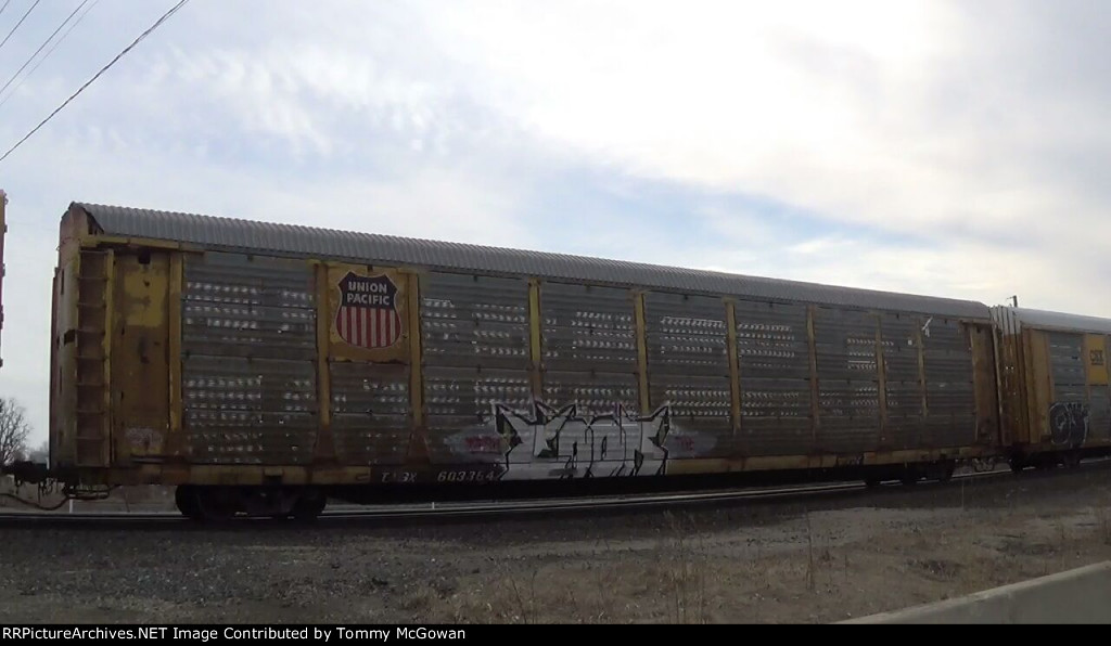 TTGX 603364