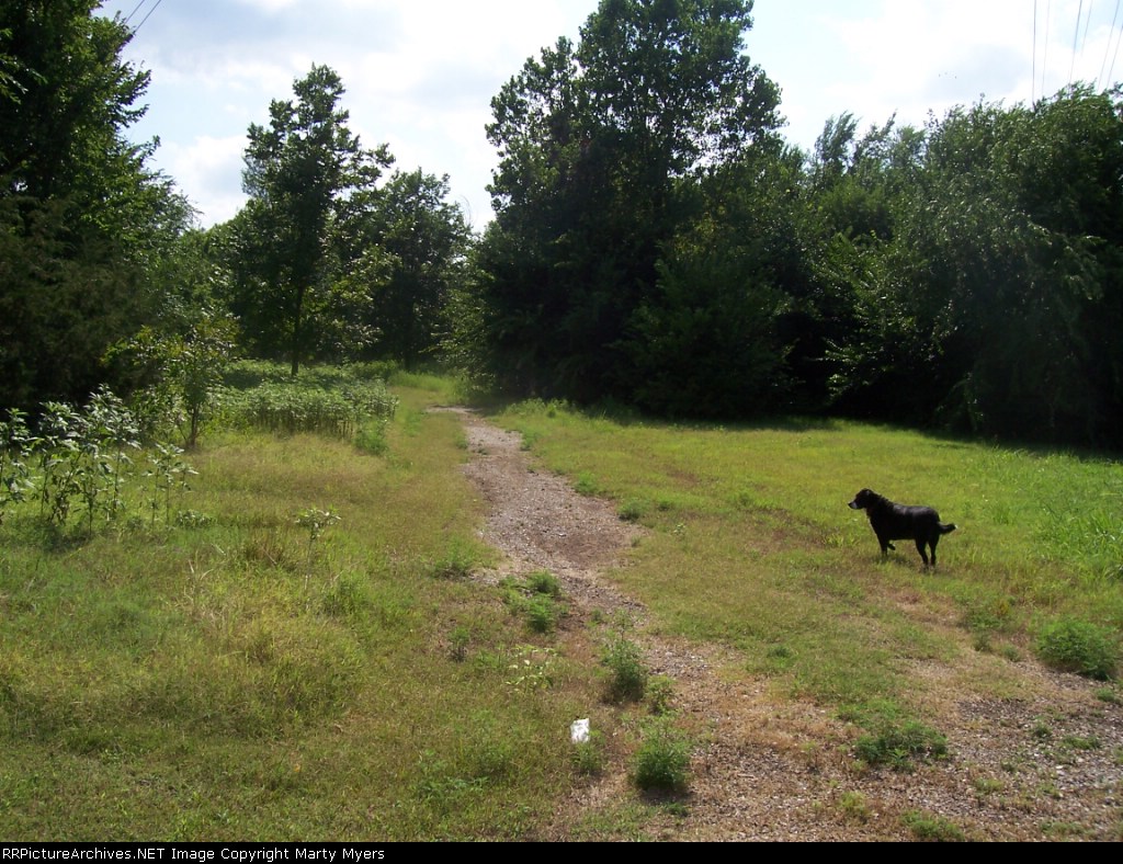 Looking SW on the Abandoned Frisco line from 8th and Furguson