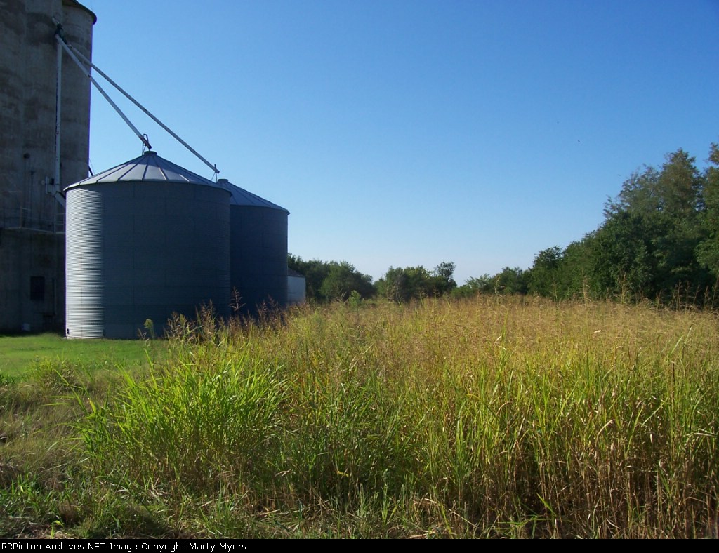 The mainline is in the weeds