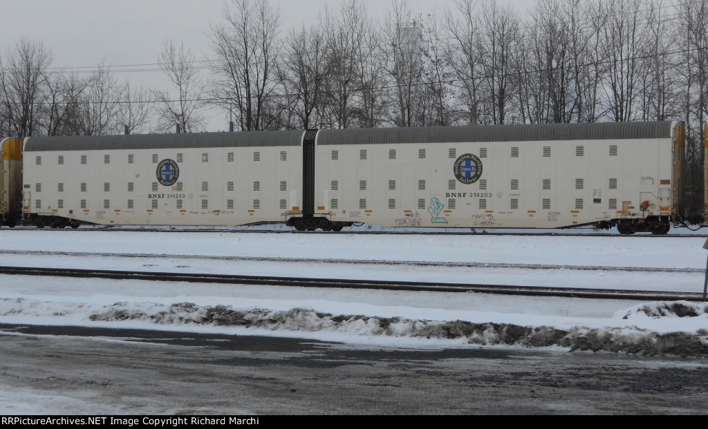 BNSF 314203
