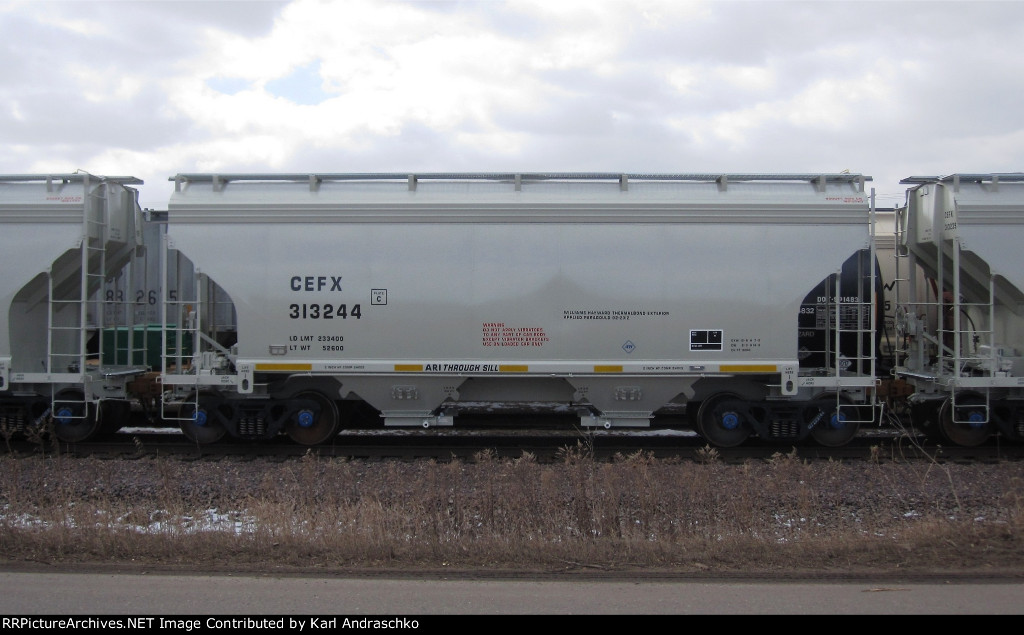 CEFX 313244