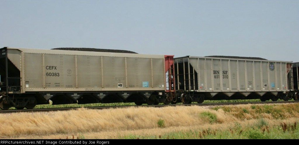 CEFX 60383