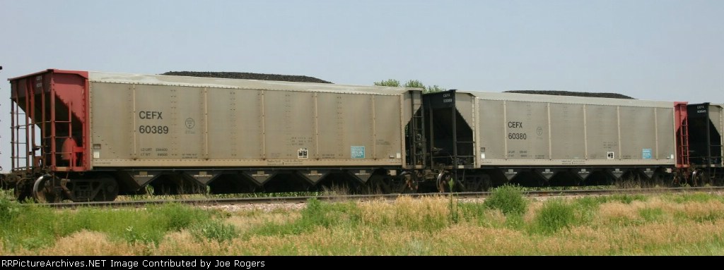CEFX 60389