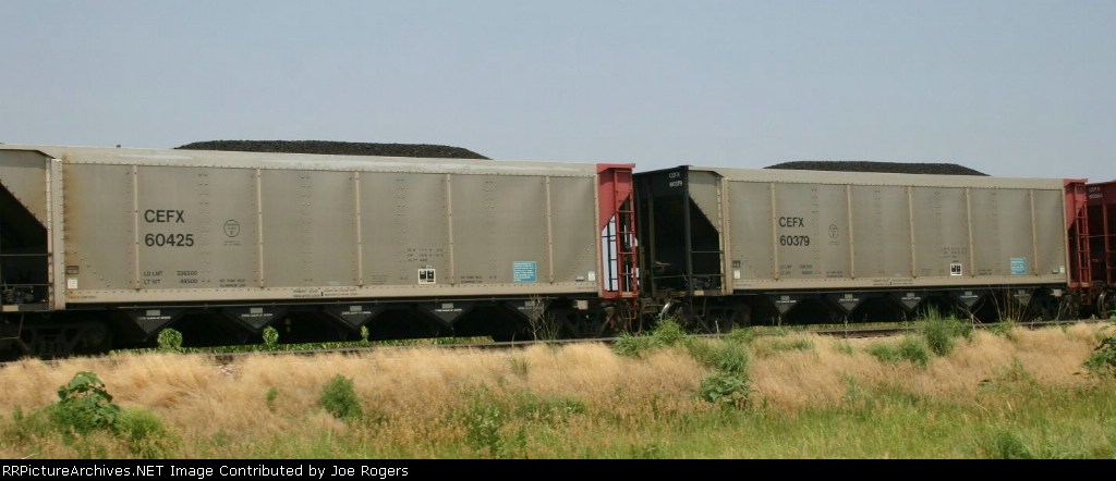 CEFX 60425