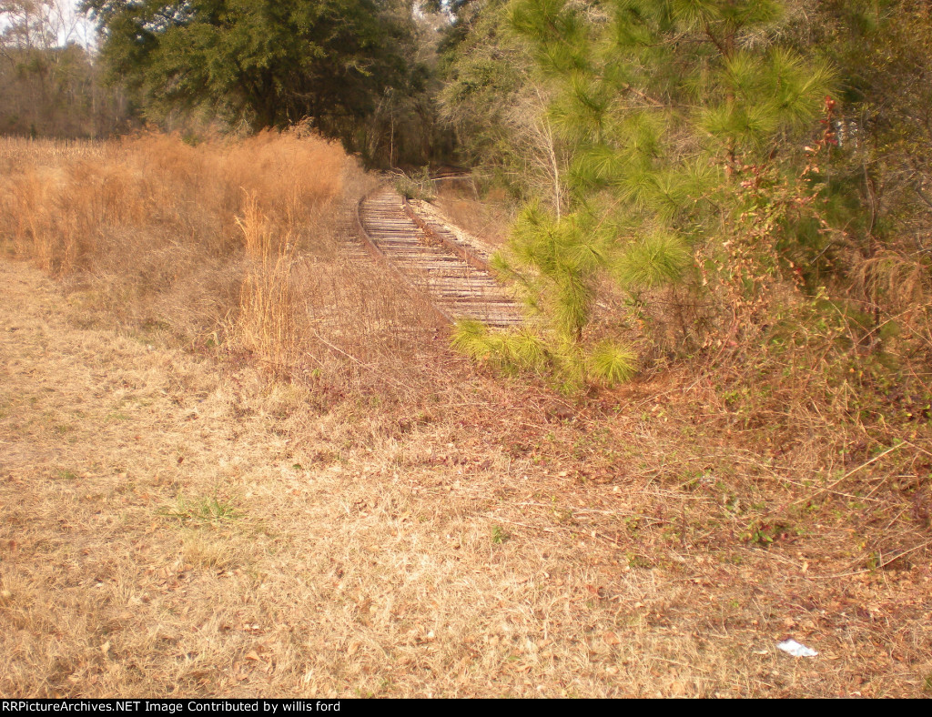 Old branch is still here that went toward Walterboro