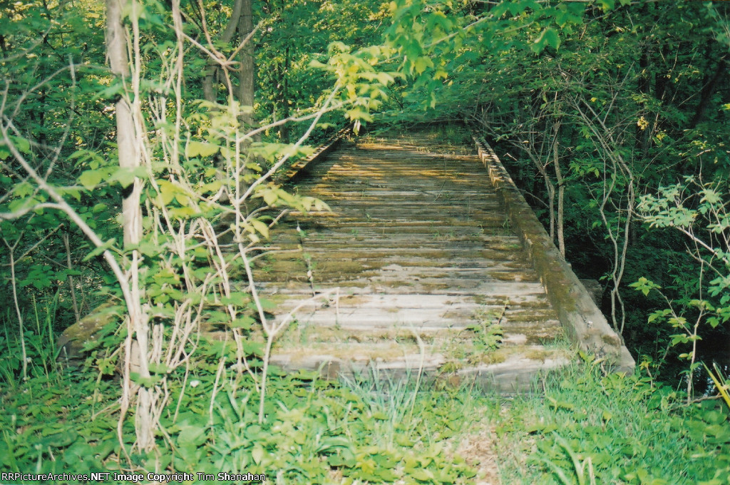 NYC trestle bridge buried in the woods