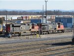 CN 8834
