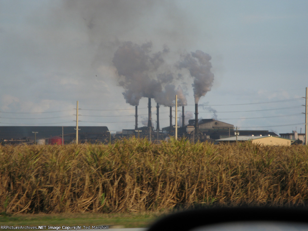 Sugar Cane Growers Coop mill