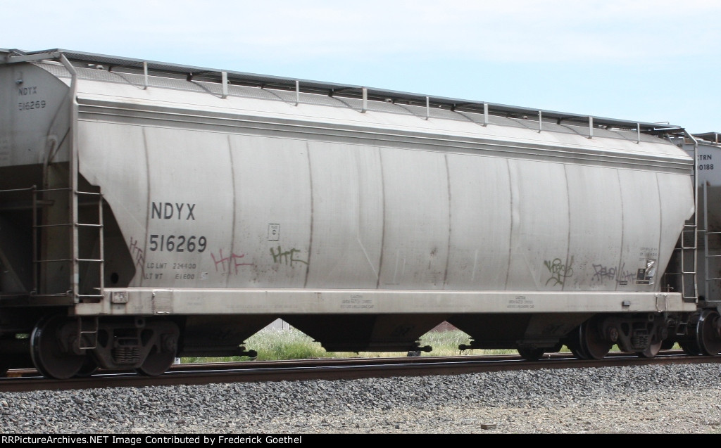 NDYX 516269