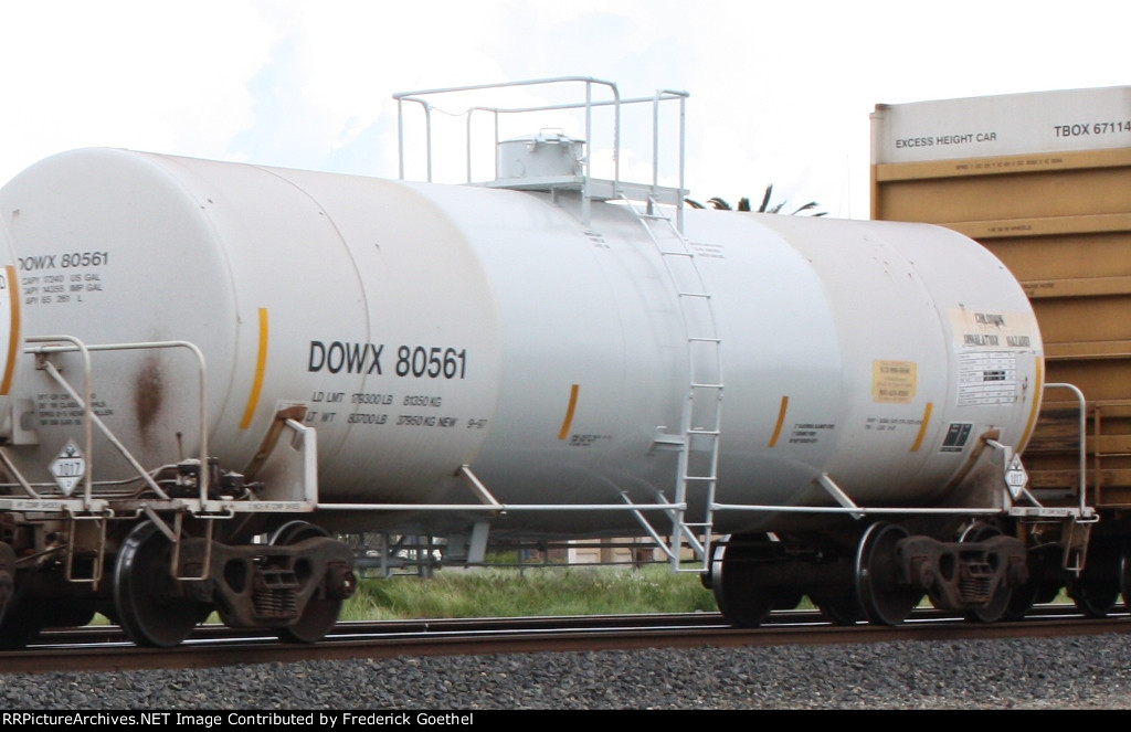 DOWX 80561