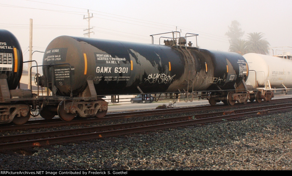 GAMX 6301