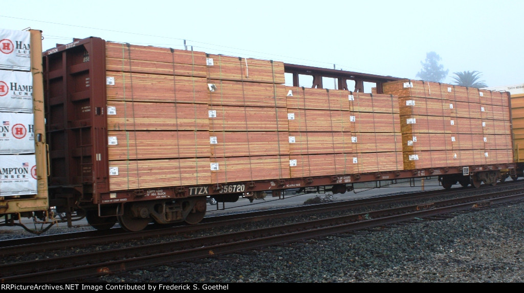 TTZX 856720