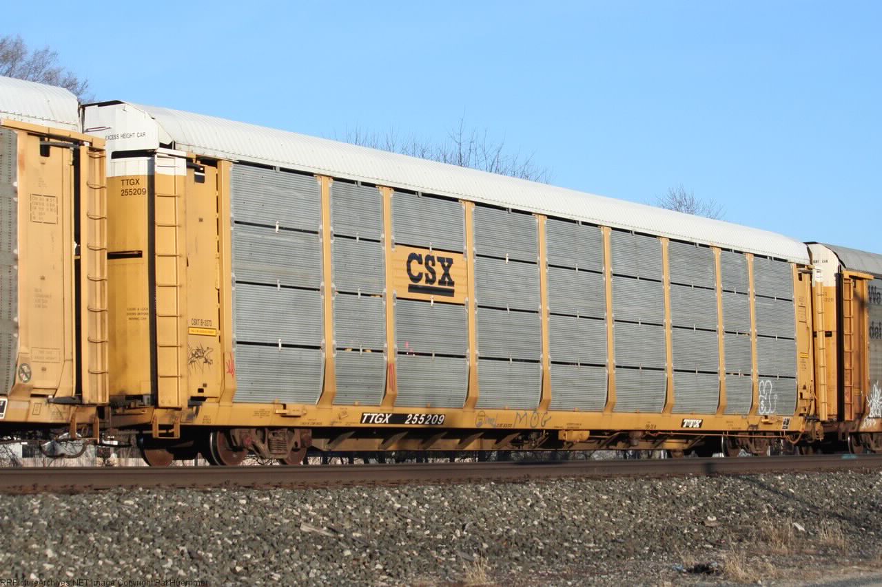 TTGX 255209