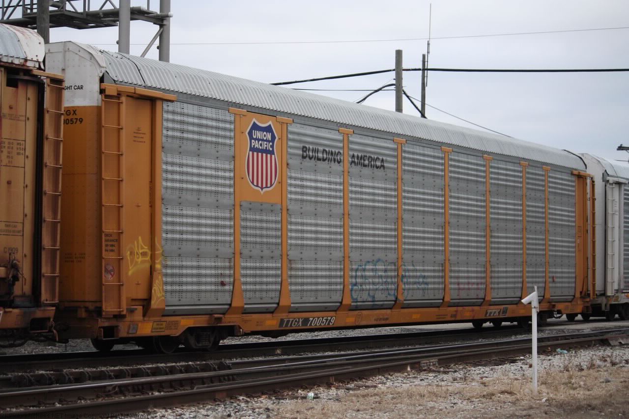TTGX 700579