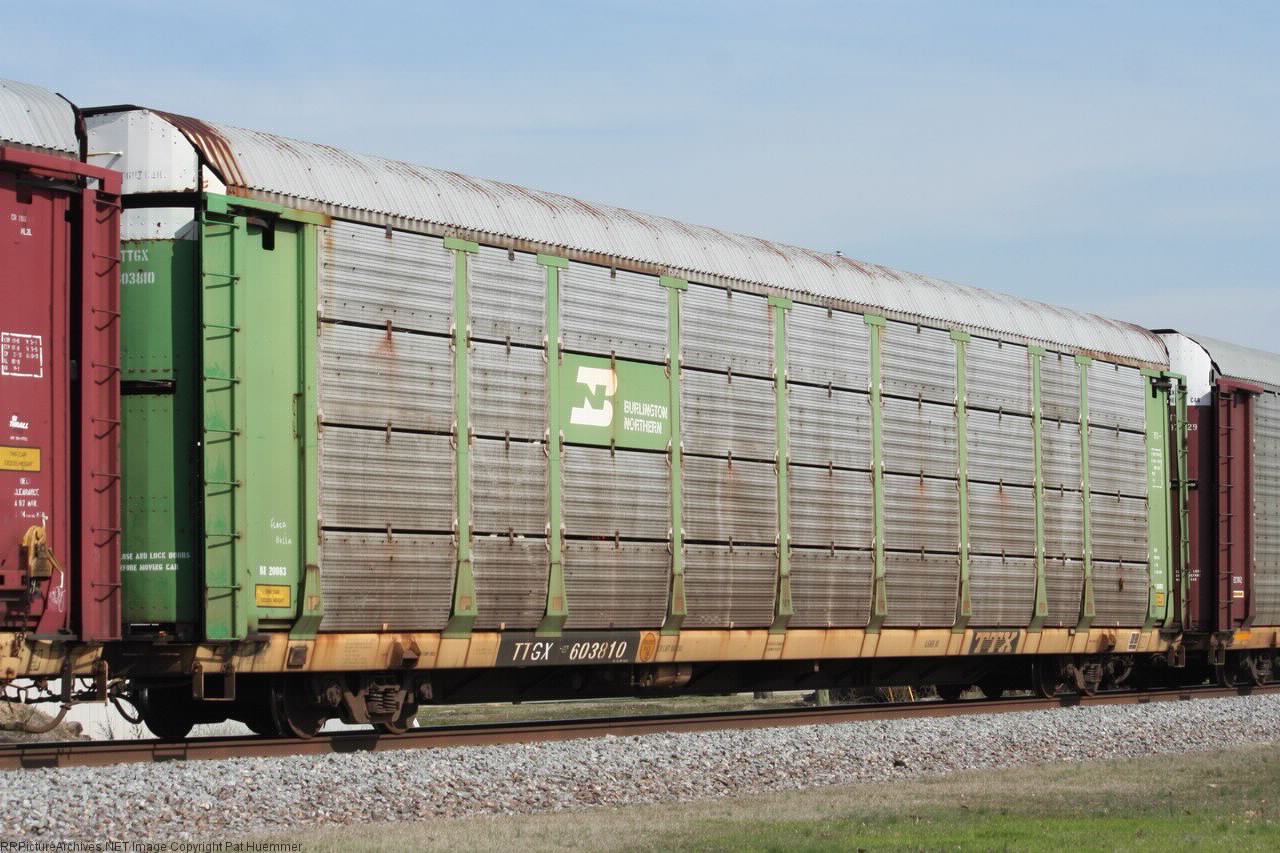 TTGX 603810
