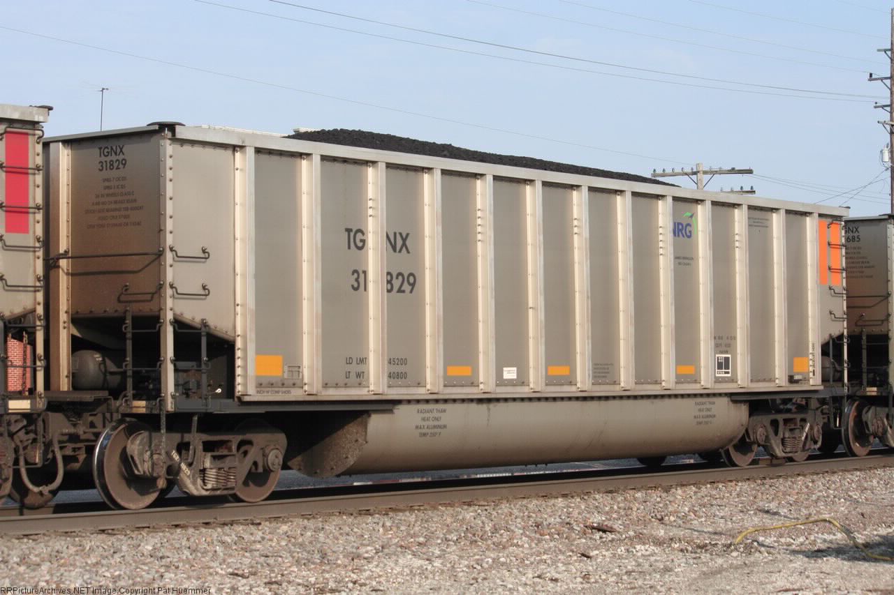 TGNX 31829