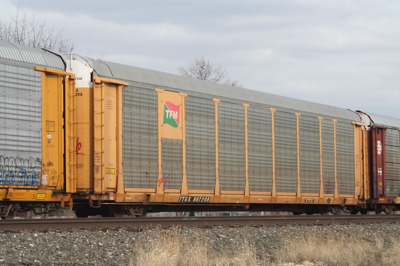 TTGX 987208