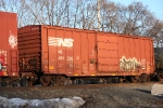 NS 451399