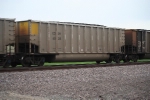 COEH 6008
