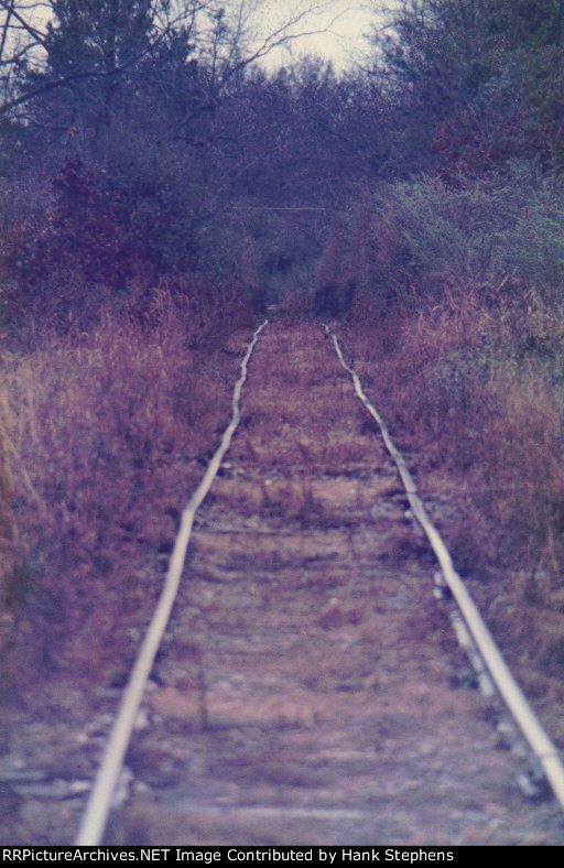 Varous Shots of the Louisville and Wadley RR in South Georgia