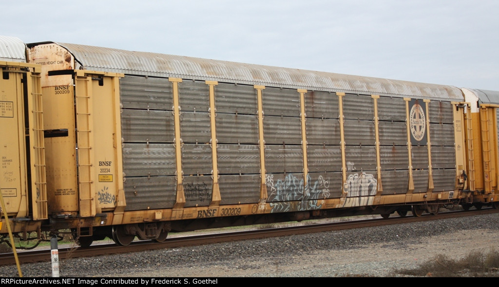 BNSF 300209