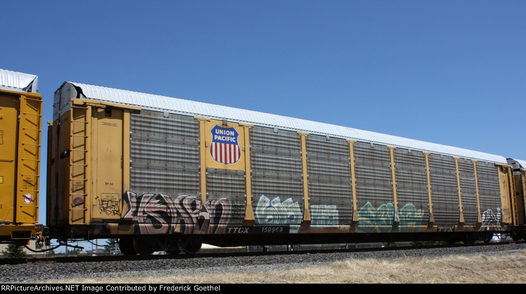 TTGX 159969