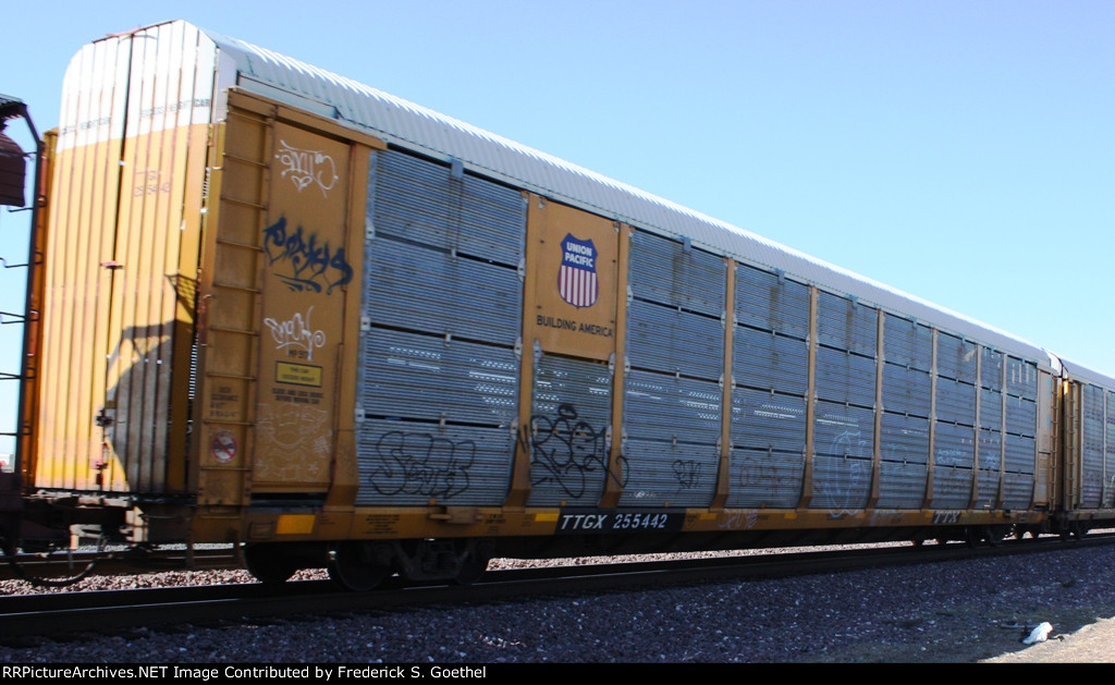 TTGX 255442