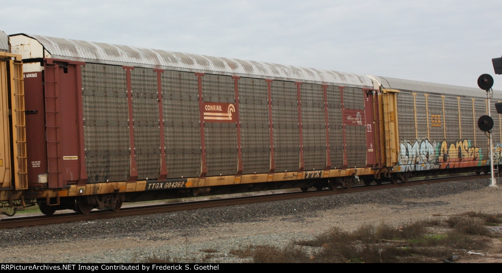 TTGX 604362