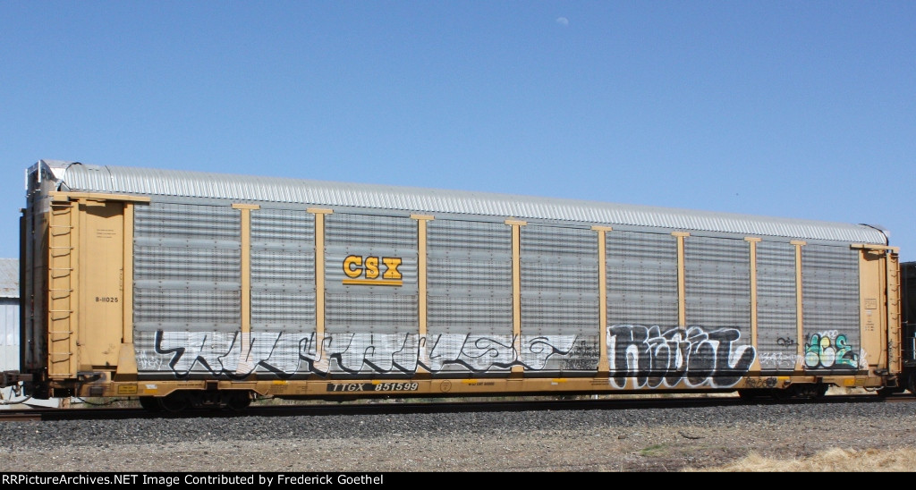 TTGX 851599