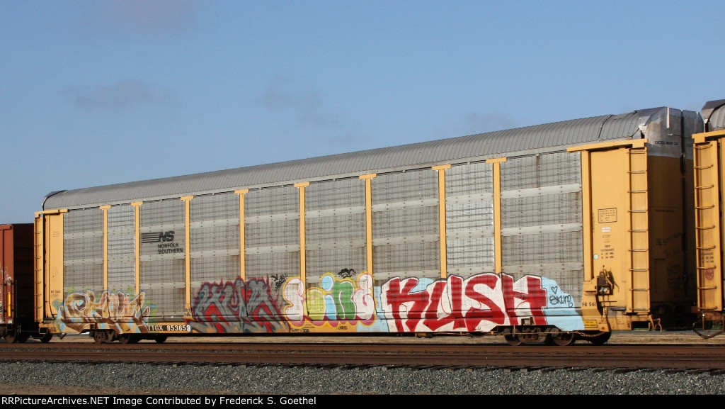 TTGX 853659