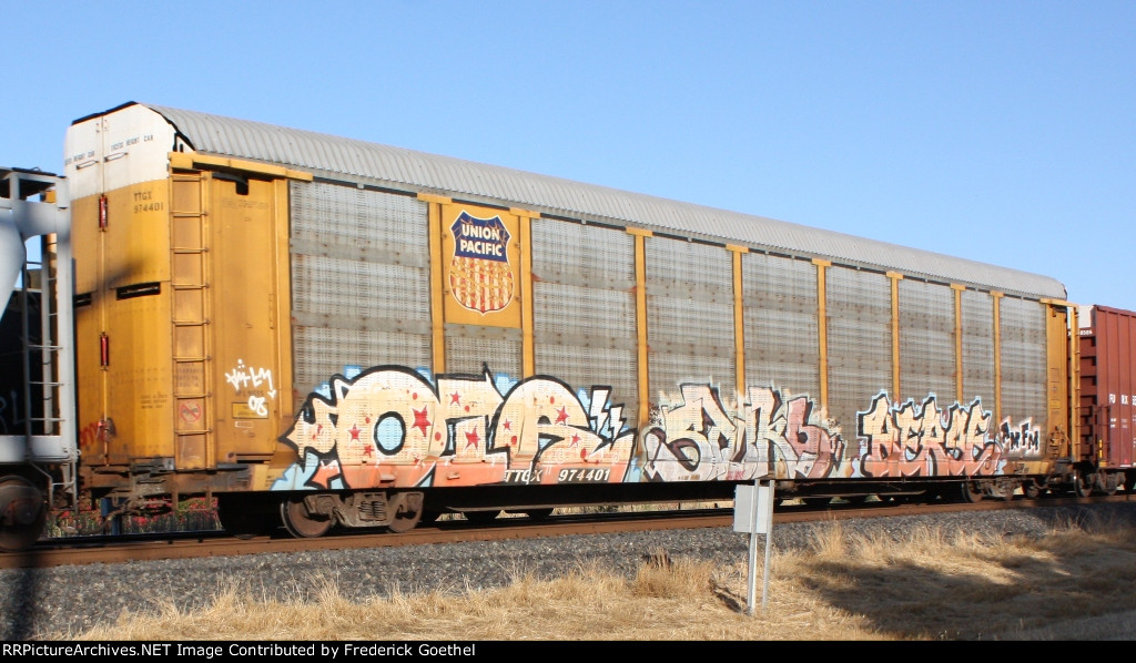 TTGX 974401