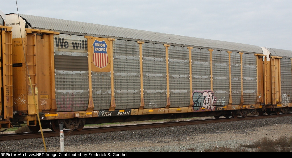 TTGX 981411