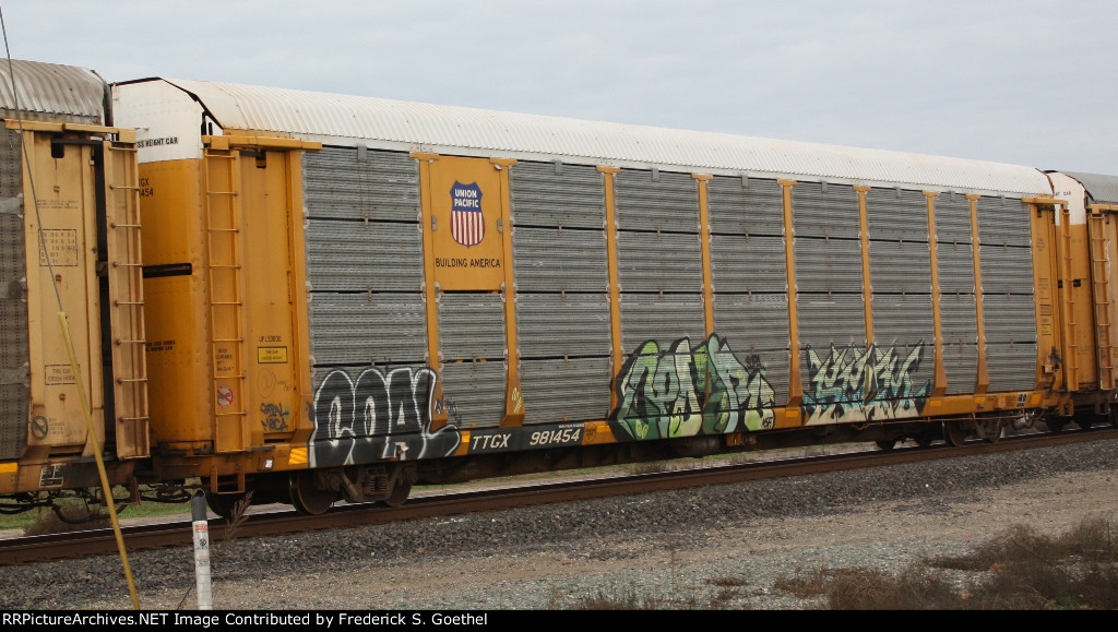 TTGX 981454