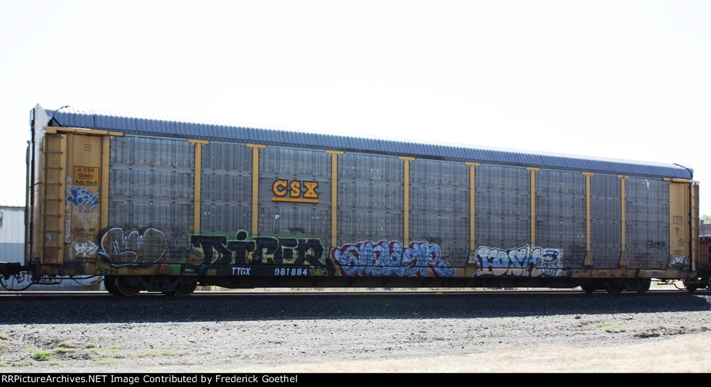 TTGX 981884